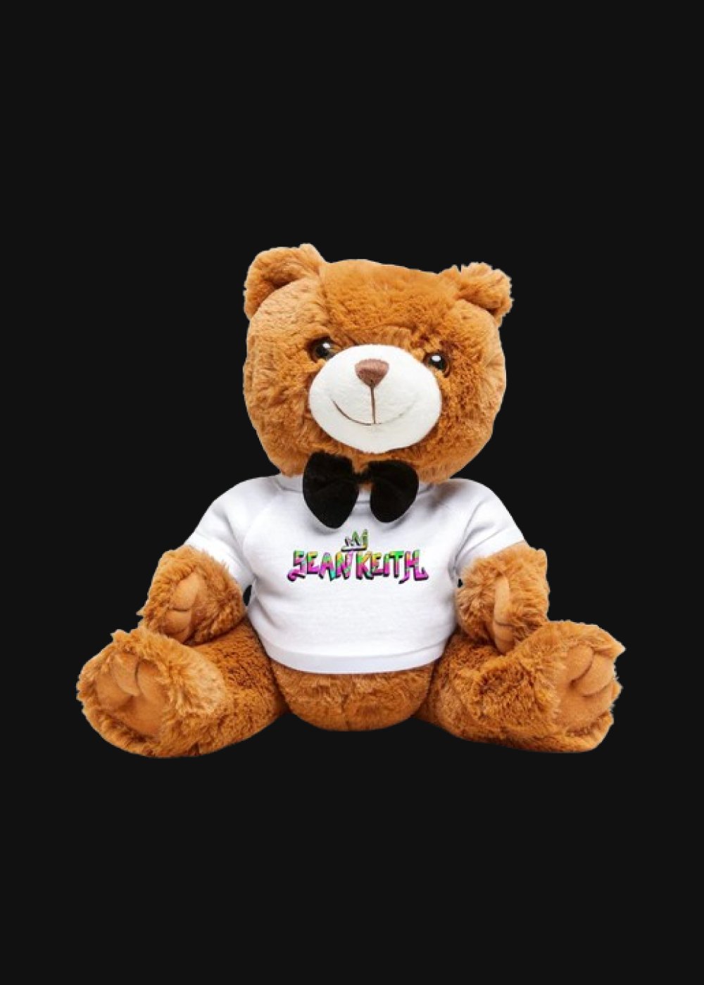 Teddy Bear with SK T-Shirt - Sean Keith Art